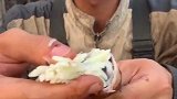 船长吃海里的香米