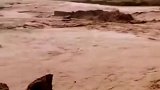 青海都兰暴雨引发山洪