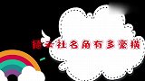 德云豪横名场，张鹤伦大骂何云伟栾云平制霸德云，个个比师傅还横