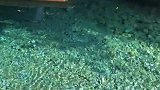 清清的石潭中，有一艘小舟，悬浮在空中