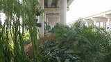 【广东】满月婴儿被弃杂草丛中 被警方救起时面部爬满蚂蚁
