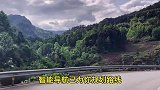这导航成精了吧，太坑了