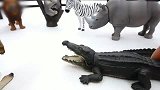 益智玩具：动物园动物+太空沙，亲子早教认识动物学习英语