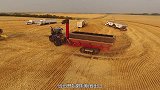储备告急！多国开始限制粮食出口，中国的储备粮会断吗？
