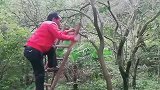 不是亲眼所见谁信,大哥这智商没救了