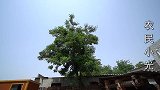 小光去镇上批发冰糕，15元买了一大袋，妈妈看到为什么不高兴