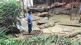 干什么都不容易，晚上开车视线不好，幸亏司机安全逃离驾驶舱