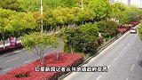 男子夜钓时鱼竿被鱼拖走，下河捞鱼竿时不幸溺亡！镇政府回应