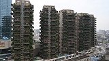 成都一小区8栋30层高楼栽满20余种植被 每家都有“森林”