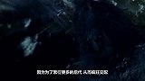 这种动物比熊猫还珍贵，一生只为延续后代而活，看完佩服不已！