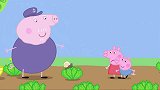 小猪佩奇：佩奇不认识蜗牛，在蔬菜上看到它，大喊着那是怪兽！