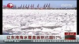辽东湾海冰覆盖面积已超57％