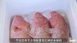 200块买一斤的“海鲜”，吃起来令人反胃，日本人：真不识货！