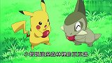 精灵宝可梦：皮卡丘被火箭二人组抓走了，小智快想办法搭救吧！