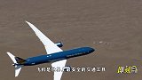 俄罗斯最硬核机长，空中遭遇撞鸟硬着陆玉米地，233人全部生还