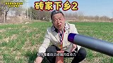 这样的砖家确实该打！