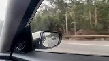 在高速公路上，一辆本田思域把我超了，同车的朋友说我追不上他！
