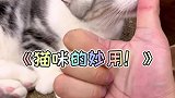 我发现了猫咪的最新用法！