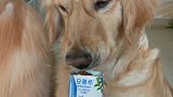 你们猜黑黑的是啥？
