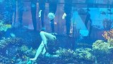 谁说海底世界没有美人鱼的