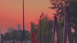 一颗试图混入信号灯行列的夕阳