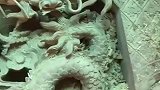 手艺人点赞吧！