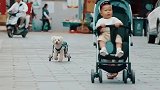 希望，是我们唯一回家的方向