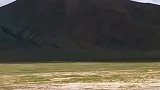 阿里大北线，革吉县到改则的国道上，偶遇一群奔跑的藏野驴