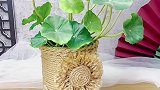 虽朴实无华却深的我心