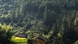 割草了，田坎上草很好童年乡愁风景
