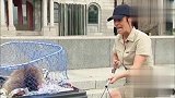 捕捉动物，竟然在垃圾桶逮到个什么奇怪的东西