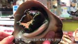 小伙买了一只巨型海蜗牛，切片以后直接生吃，看着十分过瘾