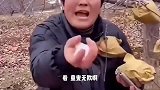 大哥，是你车技不好还是树长得位置不对