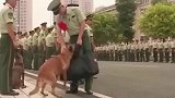 泪目！老兵退伍，警犬咬住行李不让走！