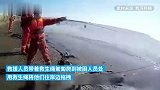 5人赶海被困，民警消防淤泥里匍匐救人