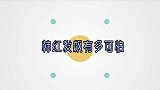 韩红当场怒斥董卿：不懂就不要瞎评价，董卿霸气回怼场面直接失控