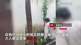 云南男子拄拐在墙角挖“大草”，识货网友直呼赚大了：野生版连花清瘟！