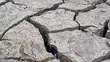 裂缝中总会有不一样的东西