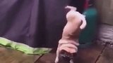 就是这个调调我喜欢