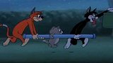 猫和老鼠：汤姆带野猫们来自己家看电影了