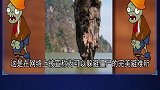 5个被伪造的真相