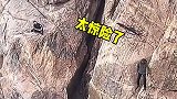 风浪越大鱼越贵，风险有点大