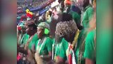 小组出局无碍好心情 塞内加尔球迷看台上演“最炫民族风”