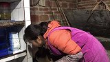 桃子姐家常菜之爆炒水猪肝做法，下酒下饭，真解馋