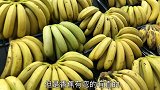买香蕉时，直香蕉和弯香蕉区别还挺大？学会了叮嘱家人，别买错了