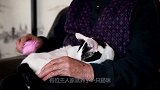 老奶奶独自一人在家，猫咪整天陪伴老奶奶，老奶奶举动令人暖心