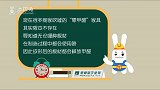 装修的秘密-20181107-橱柜板材怎么选？看完不纠结！