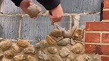 水泥墙上贴石头，原来全是假的