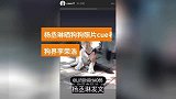 杨丞琳晒狗狗照片cue老公：狗界李荣浩
