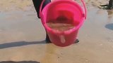赶海快来捉海鲜